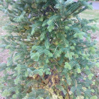 Custom Caretaking & Landscaping - Landscaping Near Me - Arbor Vitae, Wisconsin Custom Caretaking & Landscaping - Landscaping Near Me - Arbor Vitae, Wisconsin
