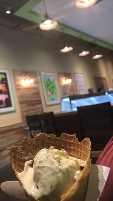 The Screamery by null