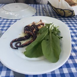 Octopus Octopus