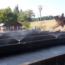 Lake Aberdeen & Salmon Hatchery
