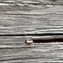 Photo of Monterey Vista Termite Control
