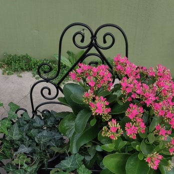 Austin Flower - Nurseries & Gardening Near Me - Austin, Texas