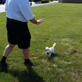 K9 Kaliber - Drop leash practice! - Pet Training Near Me K9 Kaliber - Drop leash practice! - Pet Training Near Me