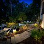 Photo of Firefly Illumination