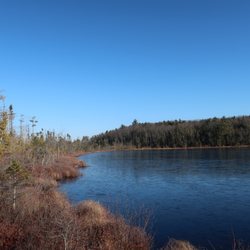 Woodbury Sanctuary - Mud Pond..no development!