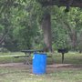 Photo of Covington Park