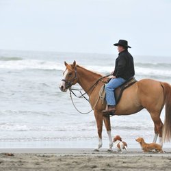 Ocean Acres B & B and Horse Hotel
