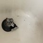 Photo of Touchstone Plumbing