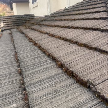 Diamond Ridge Roofing - Moss - Roofing Near Me - Bakersfield, California Diamond Ridge Roofing - Moss - Roofing Near Me - Bakersfield, California