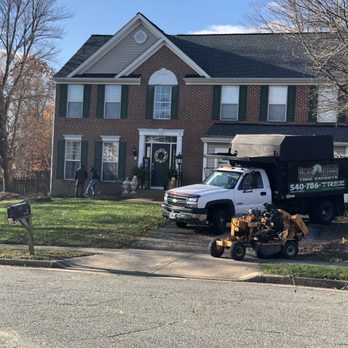 Blue Ridge Tree Experts - Tree and stump removal fredericksburg va - Tree Services Near Me