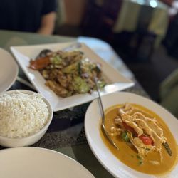 Simply Thai - Chicken panang curry