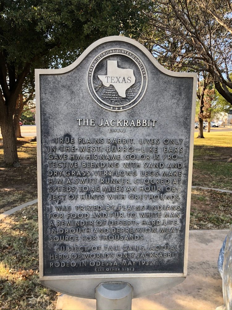 WORLD’S LARGEST JACKRABBIT 10 Photos 802 N Sam Houston Ave, Odessa