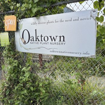 Oaktown Native Plant Nursery - Wildly diverse plants for the nerd and novice. - Nurseries & Gardening Near Me - Berkeley, California Oaktown Native Plant Nursery - Wildly diverse plants for the nerd and novice. - Nurseries & Gardening Near Me - Berkeley, California