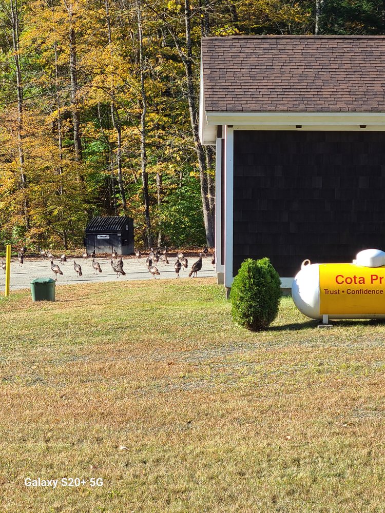 Slide of Cota and Cota