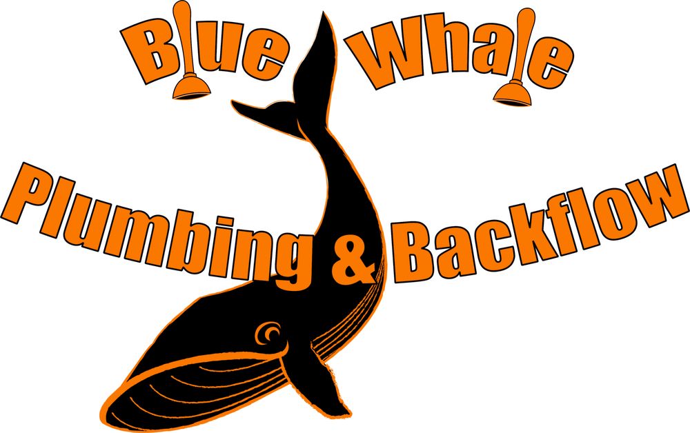 Slide of Blue Whale Backflow, Plumbing, & Excavating