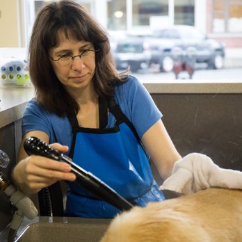 shake and shine dog wash