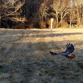 Ipswich River Wildlife Sanctuary - Parks Near Me - Topsfield, Massachusetts