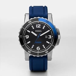 Fossil Store
