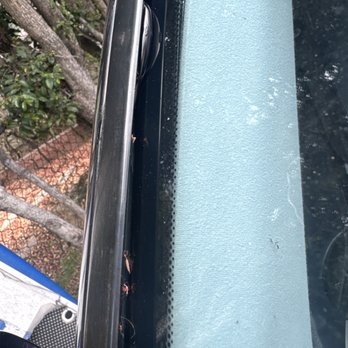 SD Auto Glass - Auto Glass Services Near Me SD Auto Glass - Auto Glass Services Near Me