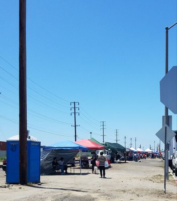 Los Sabrosos al Horno by null