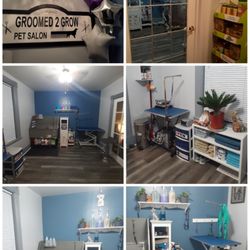 Groomed 2 Grow - Grooming Salon 2020