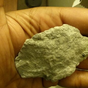 Fossil Park - Parks Near Me - Sylvania, Ohio