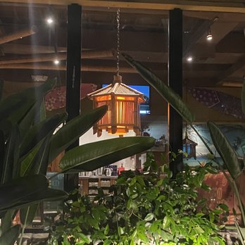Canoe House - Cute canoe house lamps vibe - Hawaiian Near Me - South Pasadena, California