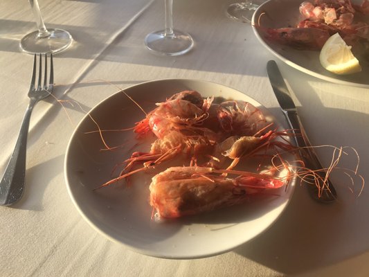 Can Pujol by null