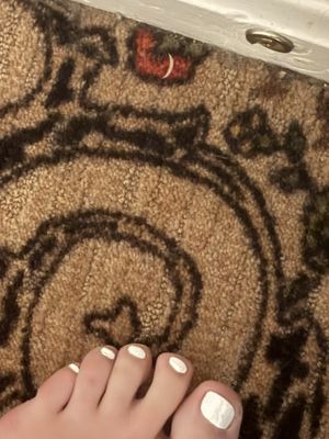 Stanyan Park Hotel by null