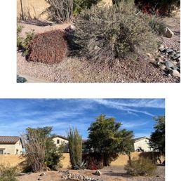 Before and after of bush removal