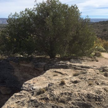 Montezuma Well - Perfect tree - Landmarks & Historical Buildings Near Me - Rimrock, Arizona