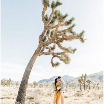 Encor Studio - Videographers Near Me - Fountain Valley, California