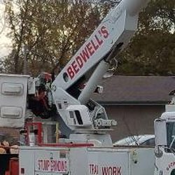 Bedwell's Tree Service