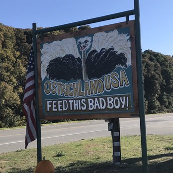 Ostrichland USA - Signage. - Attraction Farms Near Me - Solvang, California Ostrichland USA - Signage. - Attraction Farms Near Me - Solvang, California