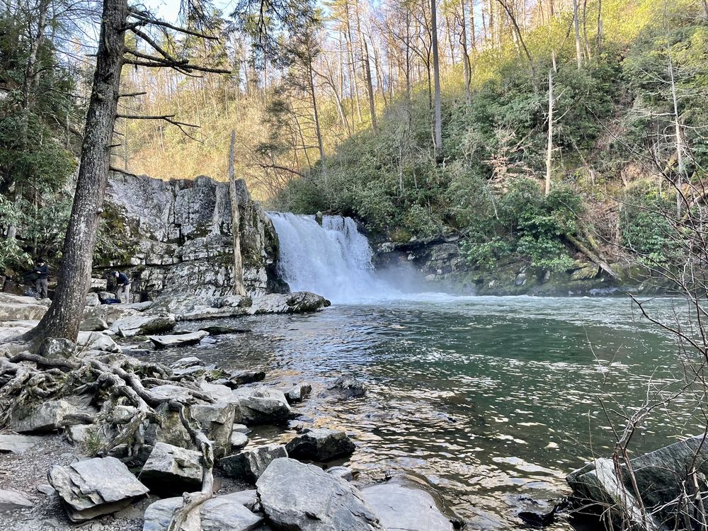 ABRAMS FALLS 73 Photos & 21 Reviews Cades Cove Loop Rd & Laurel