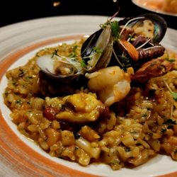 Lucca Restaurant - Risotto w/ seafood