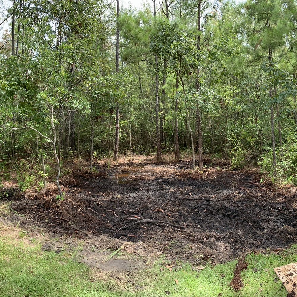 Sam-Jay Services - Before ELP excavated the wooded area - Landscaping Near Me - Savannah, Georgia Sam-Jay Services - Before ELP excavated the wooded area - Landscaping Near Me - Savannah, Georgia