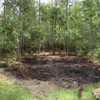 ELP Landscape Services - Before ELP excavated the wooded area - Landscaping Near Me - Savannah, Georgia