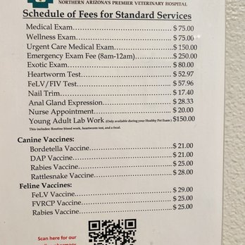 Canyon Pet Hospital - Prices - Veterinarians Near Me - Flagstaff, Arizona Canyon Pet Hospital - Prices - Veterinarians Near Me - Flagstaff, Arizona