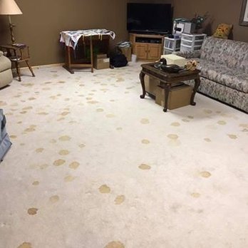 Colonial Chem-Dry - Pet Urine Stained Carpet - Carpet Cleaning Near Me - Providence, Rhode Island Colonial Chem-Dry - Pet Urine Stained Carpet - Carpet Cleaning Near Me - Providence, Rhode Island