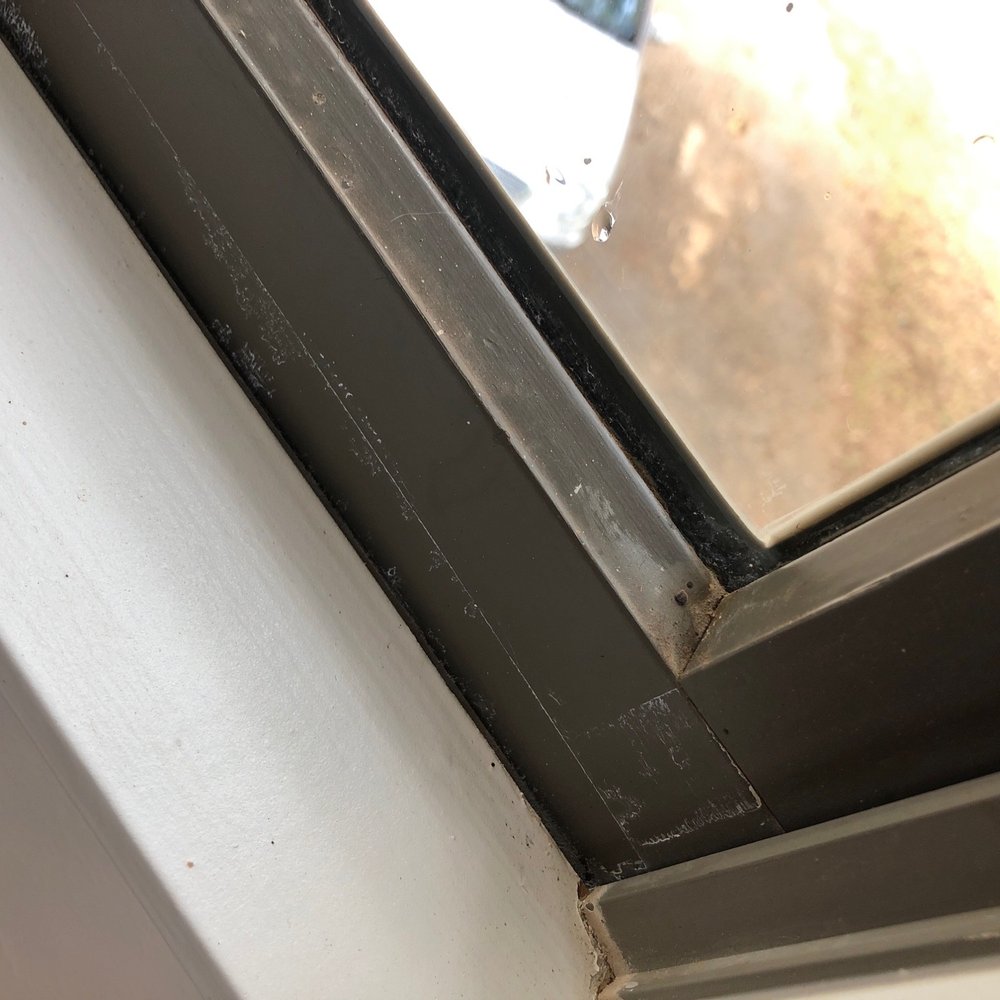 Royal Pane Window Cleaning & Pressure Washing - Window Washing Near Me Royal Pane Window Cleaning & Pressure Washing - Window Washing Near Me