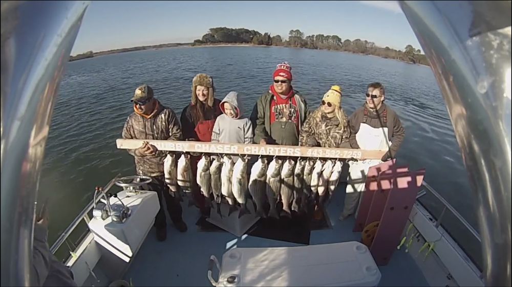 Chubby Chaser Charters Logo