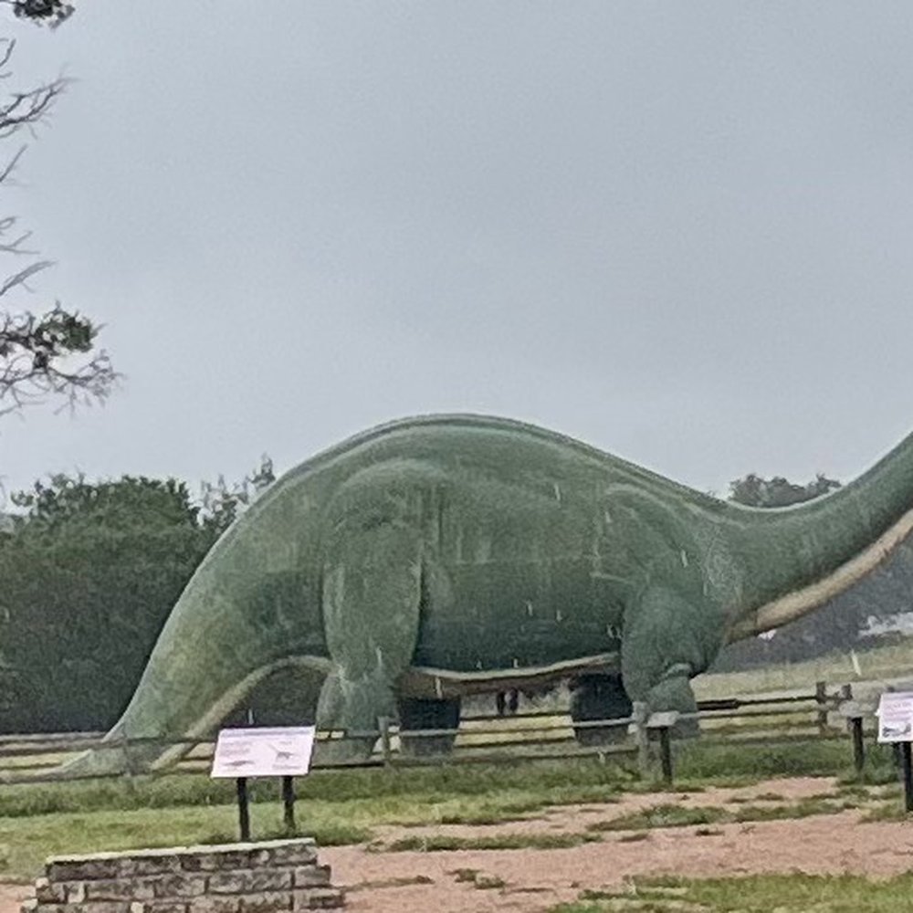 Dinosaur Valley State Park - Parks Near Me - Glen Rose, Texas
