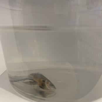 Petco - Pet Stores Near Me - Albuquerque, New Mexico