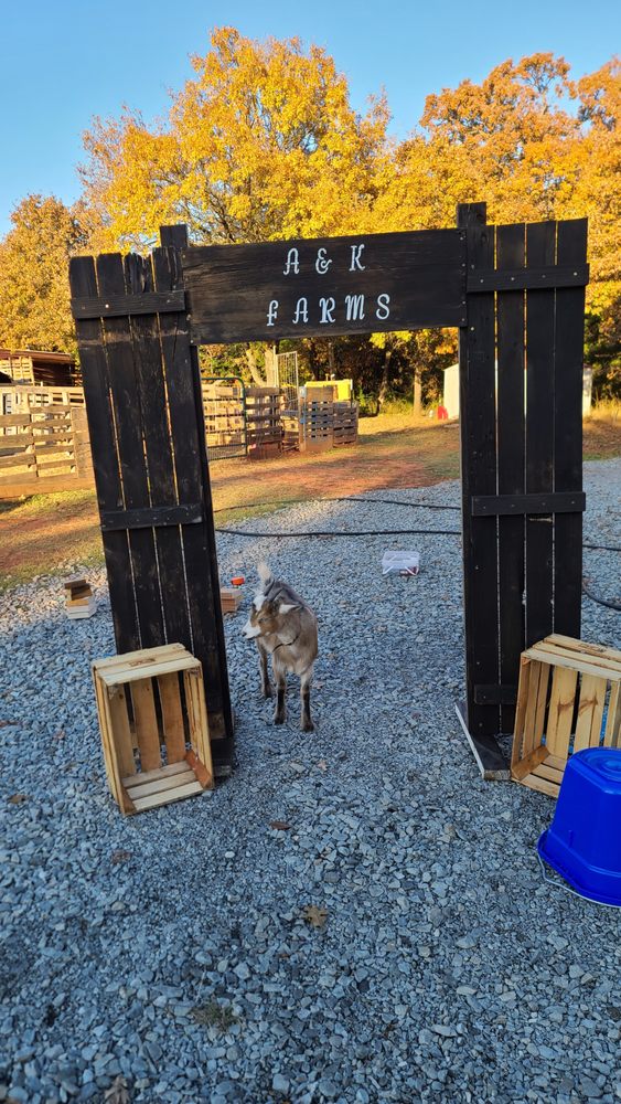 A & K Farms - equestrian in Chandler, OK