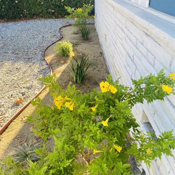 Moreno Garden Service - Front Yard - Landscaping Near Me