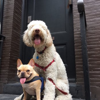 Bark and Burn - Dog Walkers Near Me - New York, New York Bark and Burn - Dog Walkers Near Me - New York, New York
