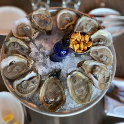 Noona Meat & Seafood - Fresh oysters