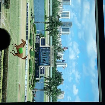 Gulfstream Park - Casinos Near Me - Hallandale Beach, Florida