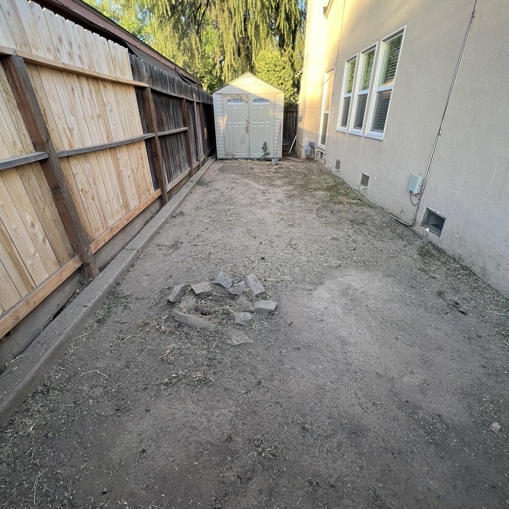 Caliarbor - After - Tree Services Near Me Caliarbor - After - Tree Services Near Me